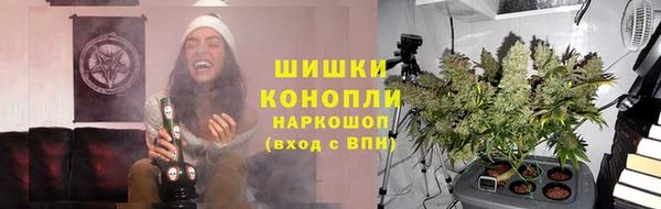 прущая мука Корсаков