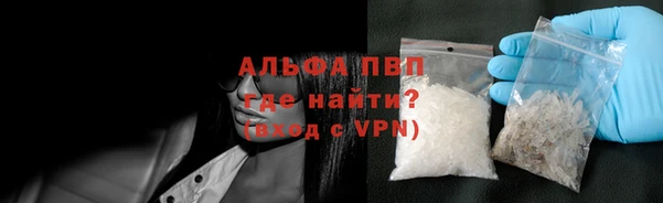 ПСИЛОЦИБИНОВЫЕ ГРИБЫ Костерёво