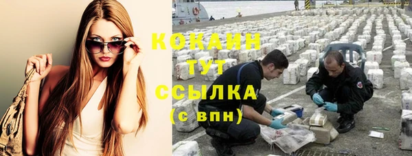 прущая мука Корсаков