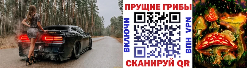 Галлюциногенные грибы ЛСД  omg маркетплейс  Кувандык 