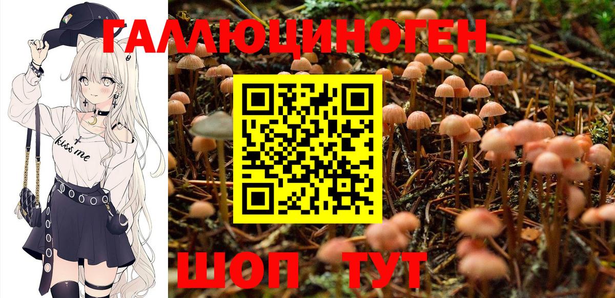 Галлюциногенные грибы мухоморы Кувандык