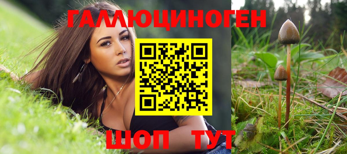 Псилоцибиновые грибы GOLDEN TEACHER  Вход с VPN  Кувандык 