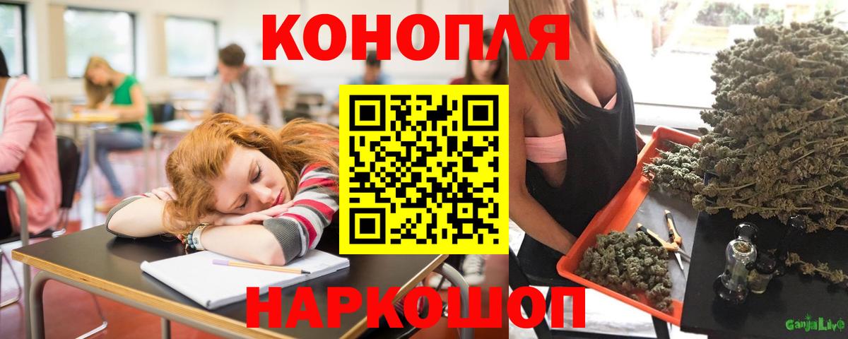 Бошки марихуана гибрид  МАРИХУАНА сатива  Вход с VPN  Кувандык  МАРИХУАНА сатива 